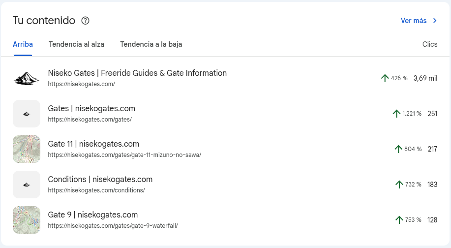 Contenido search console y visualizaciones de páginas